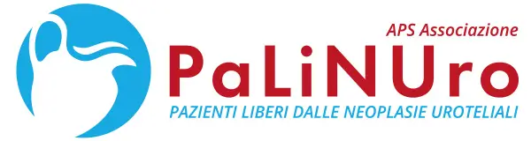 https://urine24.com/wp-content/uploads/2025/05/Logo-Associazione-Palinuro.webp