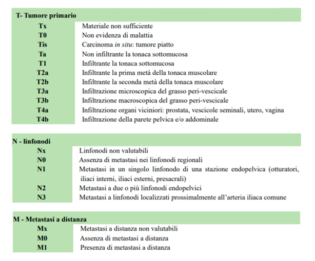 https://urine24.com/wp-content/uploads/2025/06/Tabella-Classificazione-TNM-2017.png